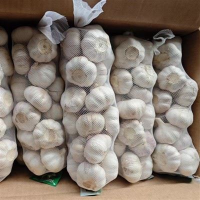 Factory Outlet Fresh Garlic For Export Factory Outlet Fresh Garlic For Export