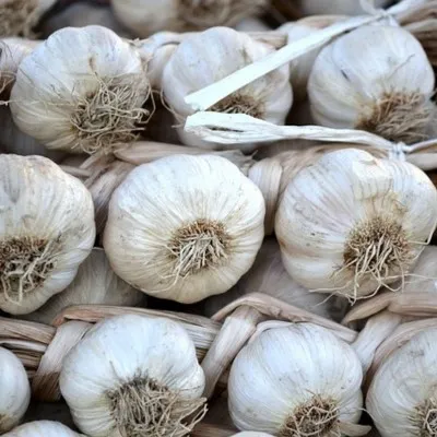 garlic-1400584640 garlic-1400584640